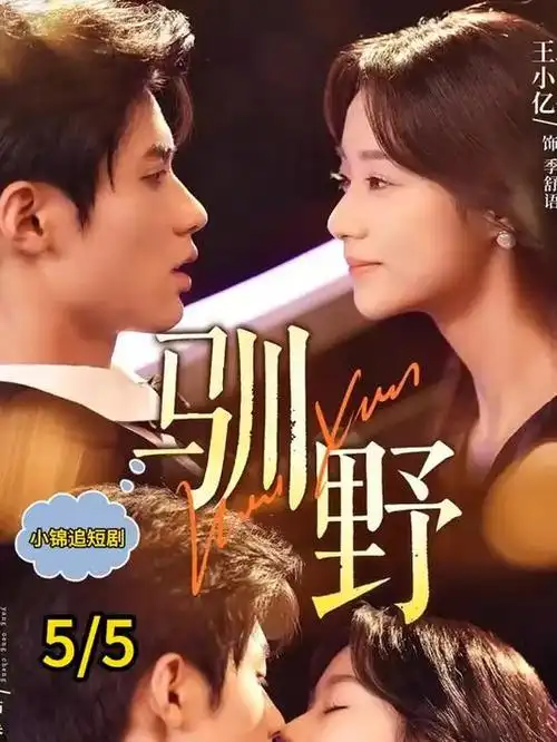 热播都市情感剧《春山可望》全集在线播放